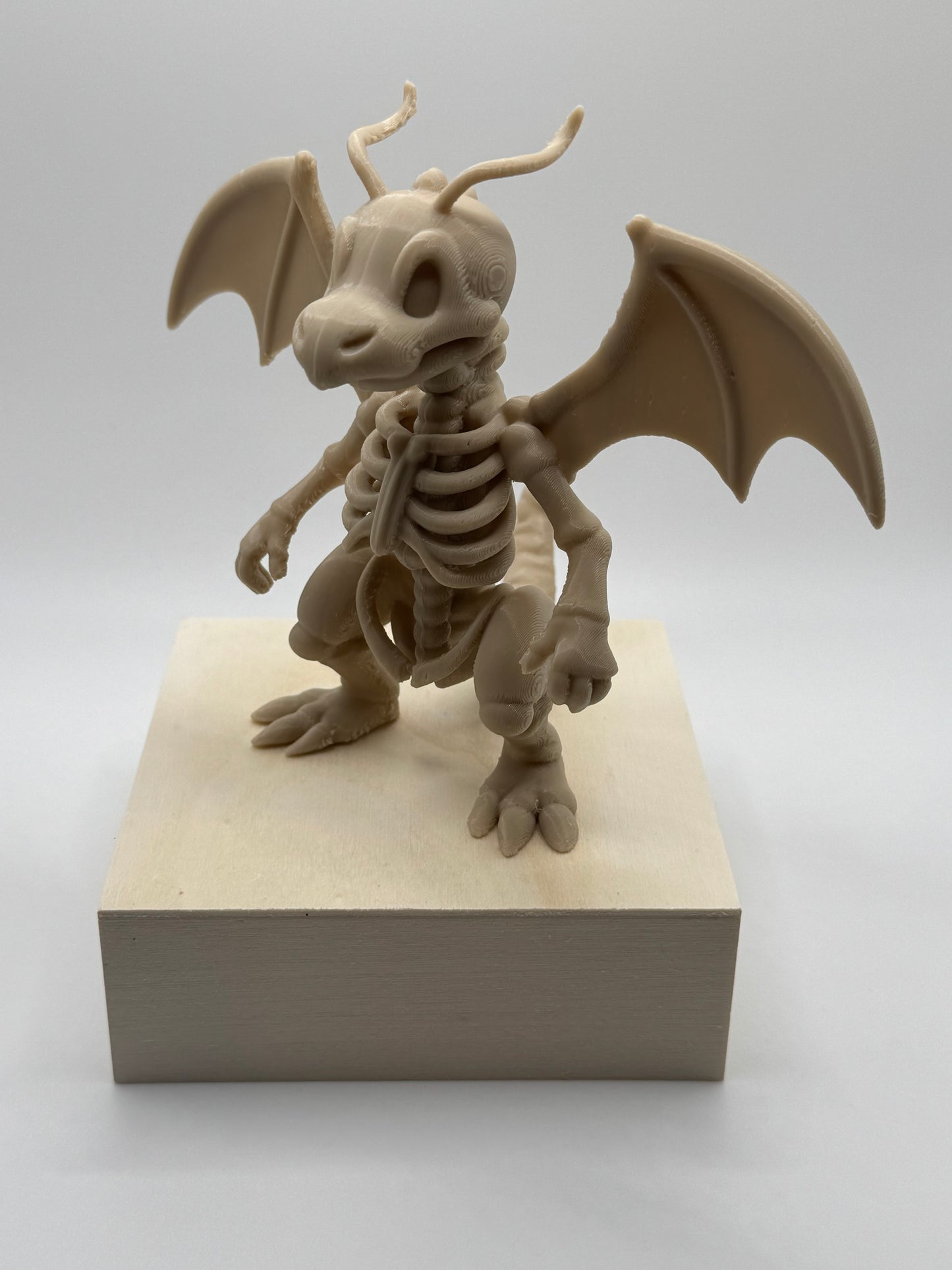 Dragonite Skeleton