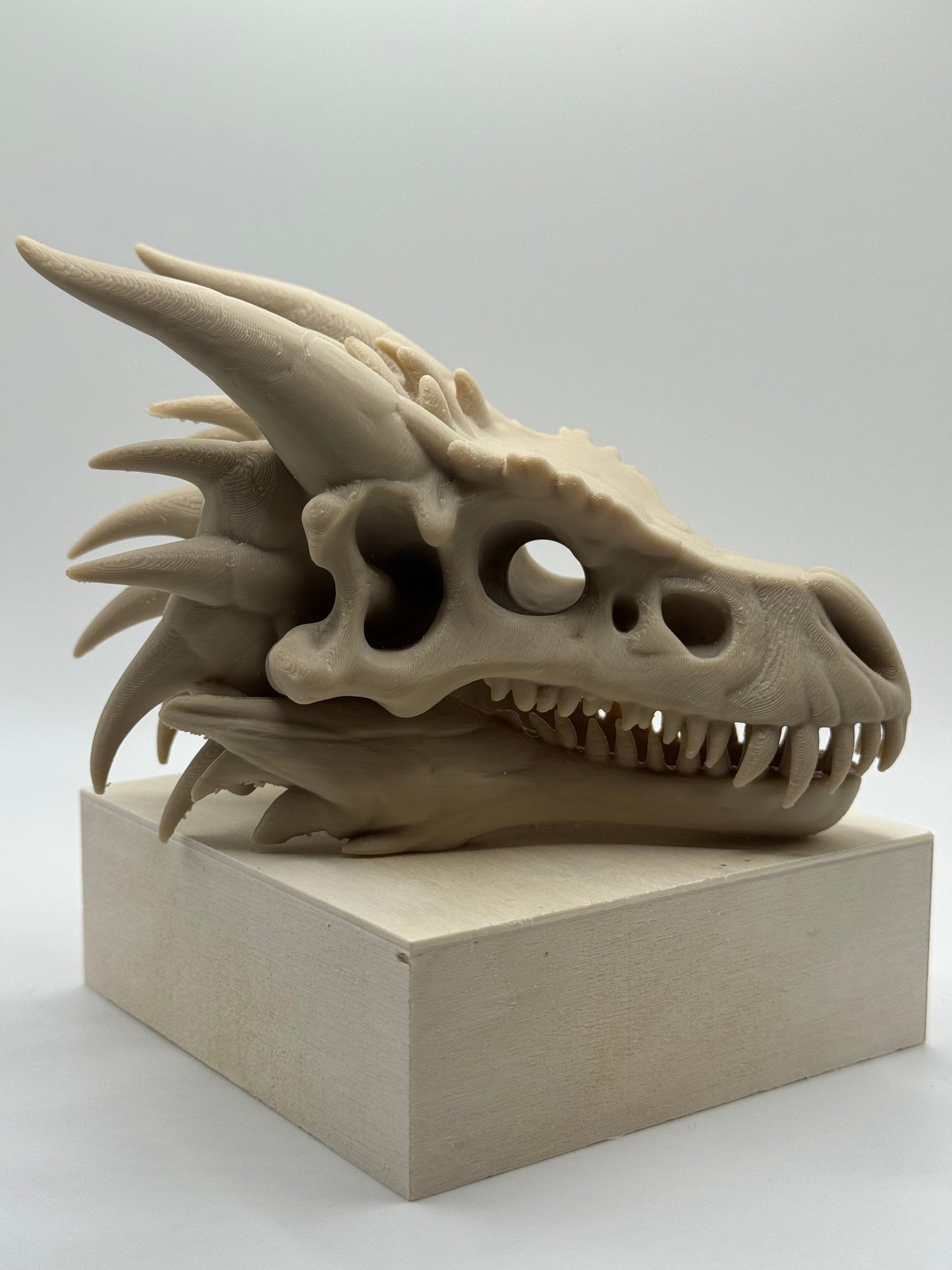 Dragon Skull