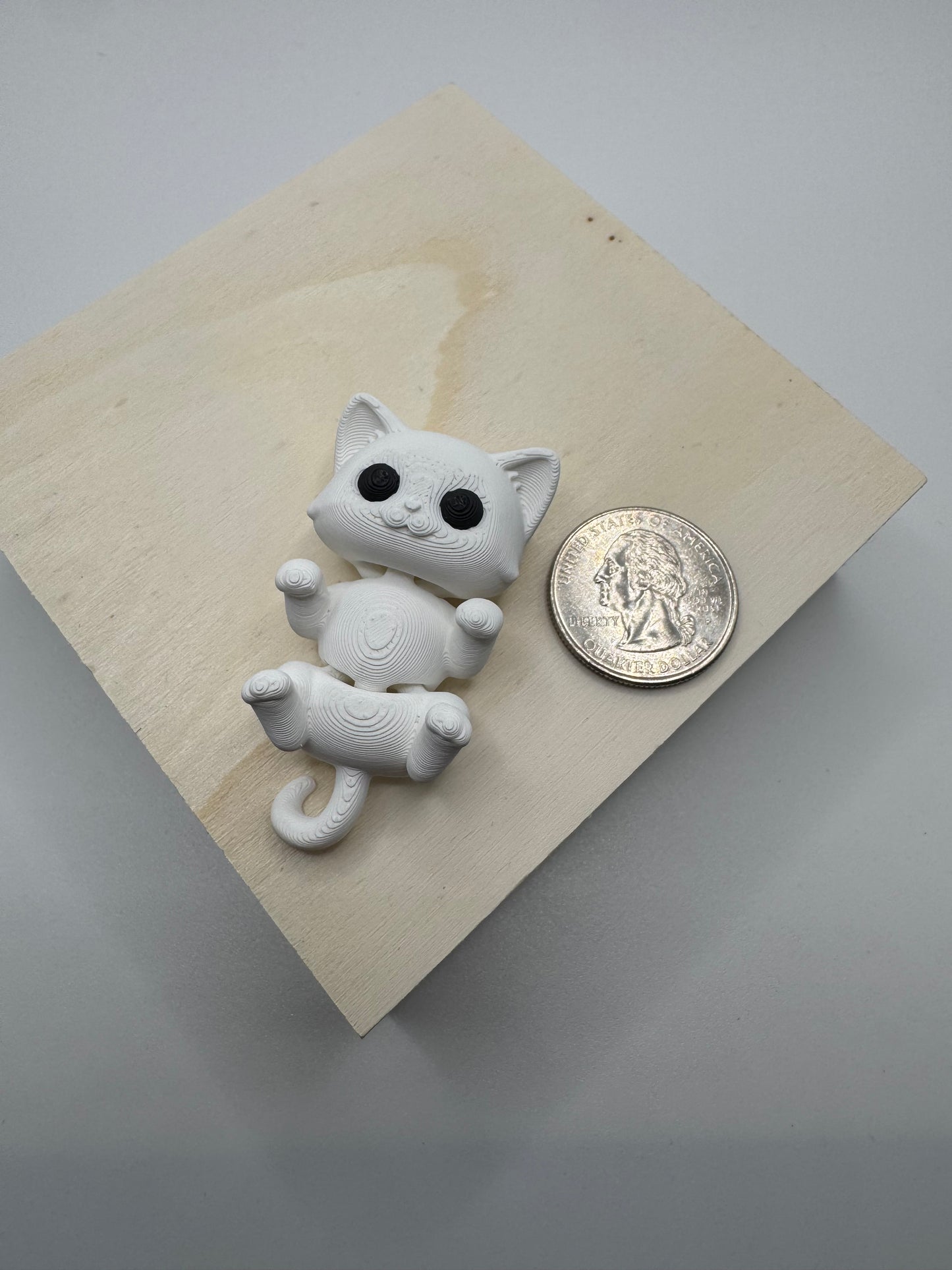 Cute Kitten mini