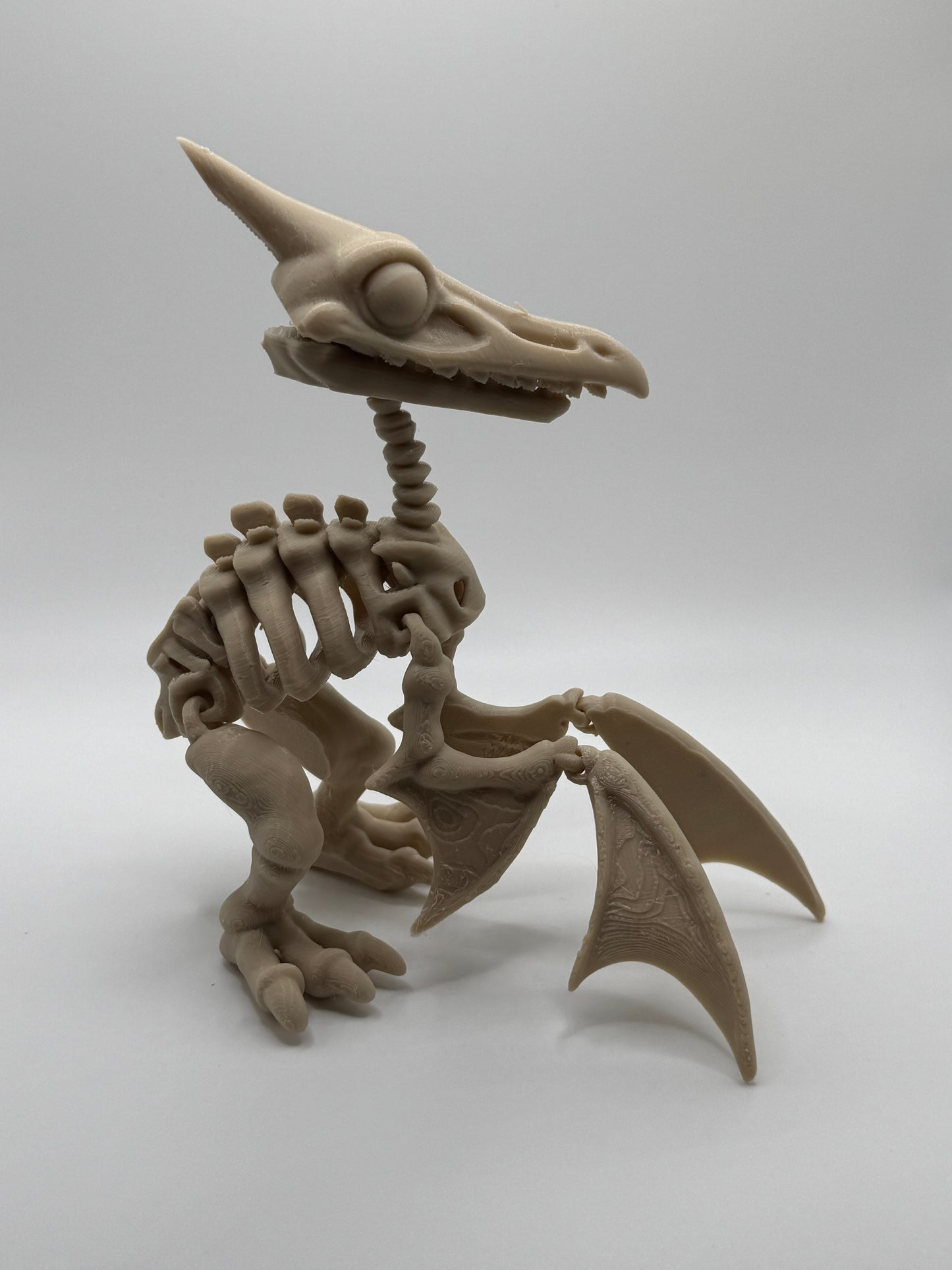 Pterosaur Dinosaur Skeleton
