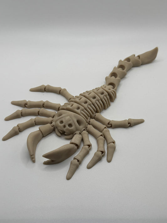 Scorpion Skeleton