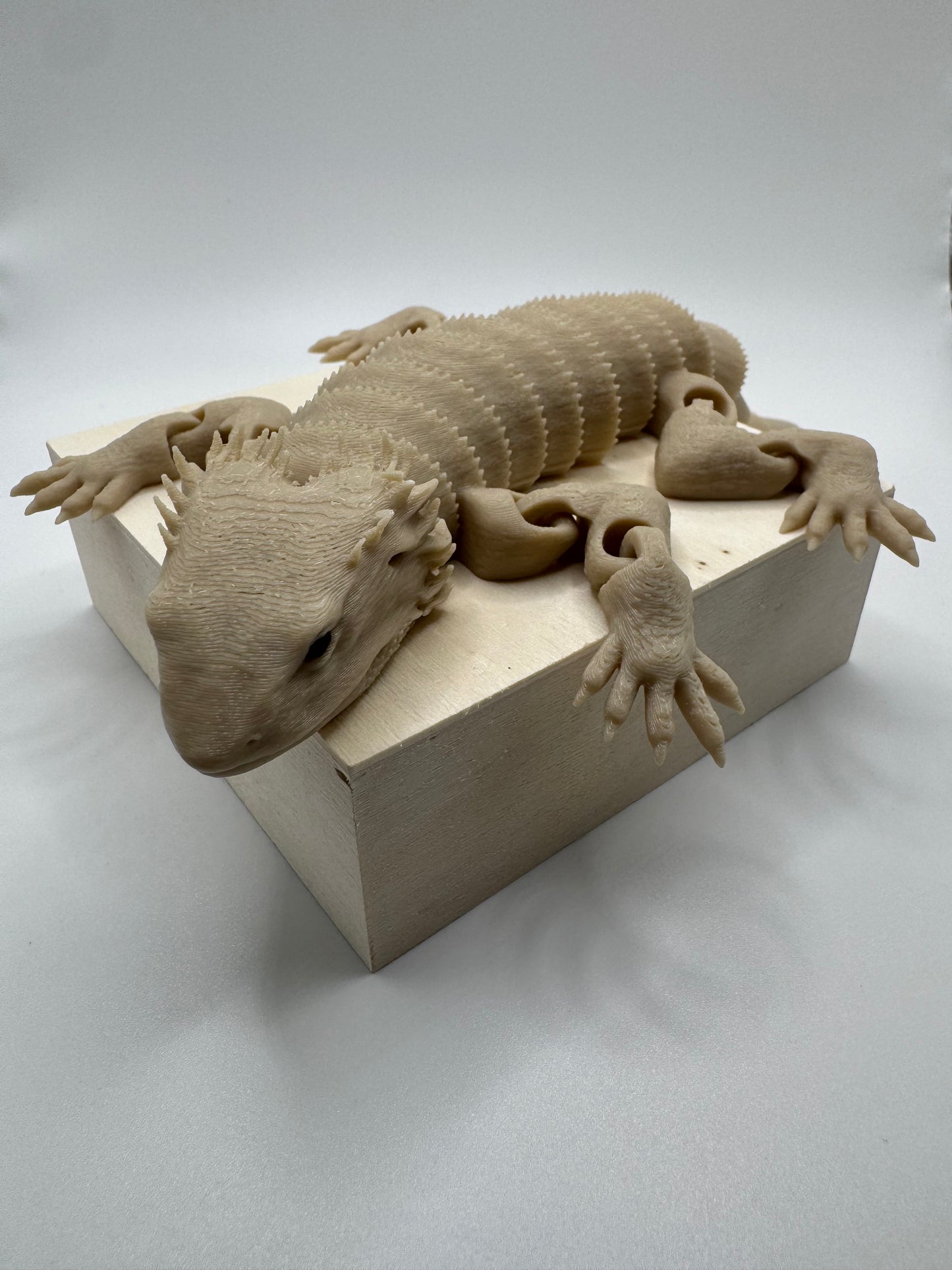 Bearded Dragon