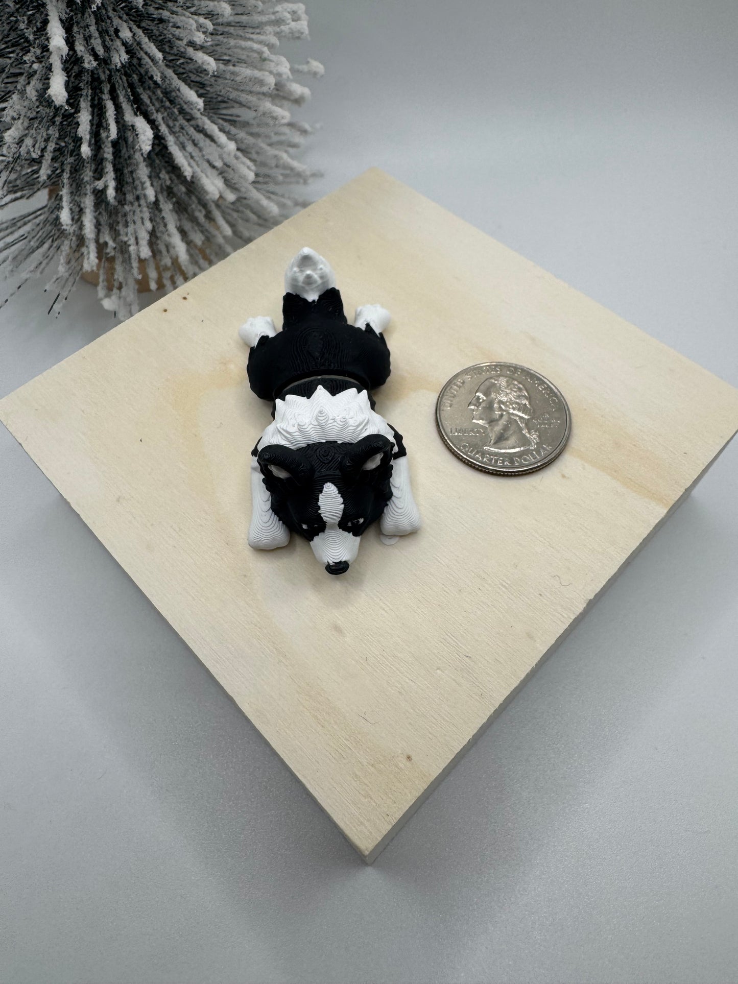 Border Collie mini