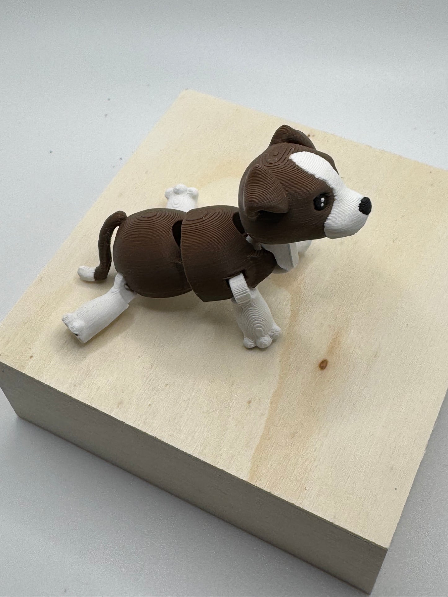 Beagle mini