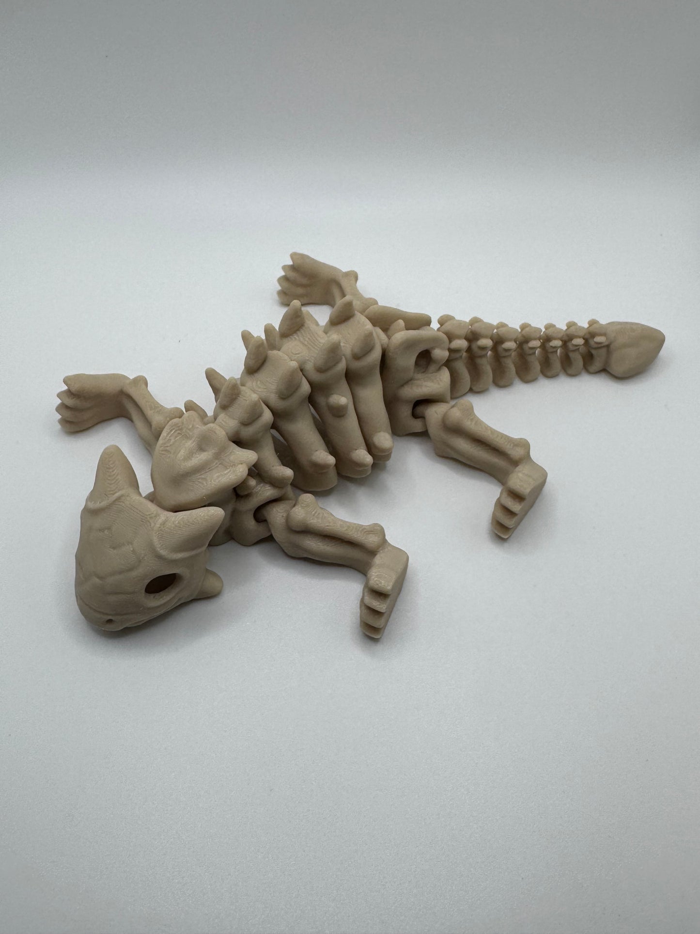 Ankylosaurus Skeleton
