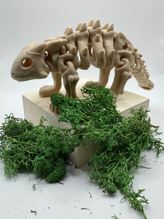 Ankylosaurus Skeleton