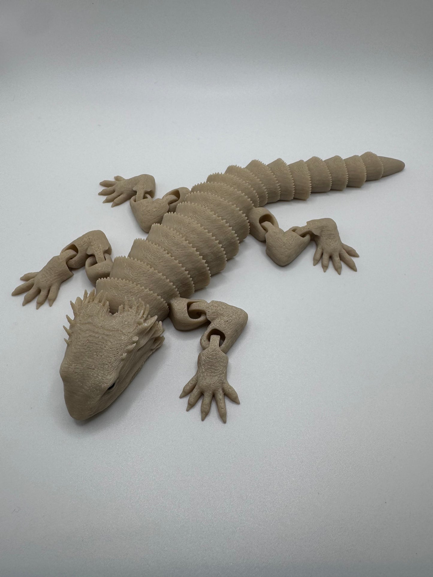 Bearded Dragon