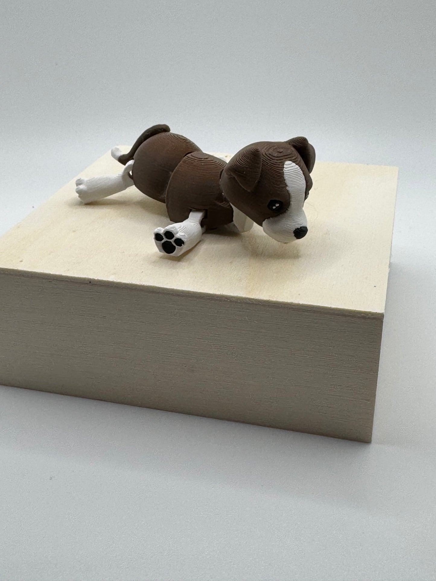 Beagle mini