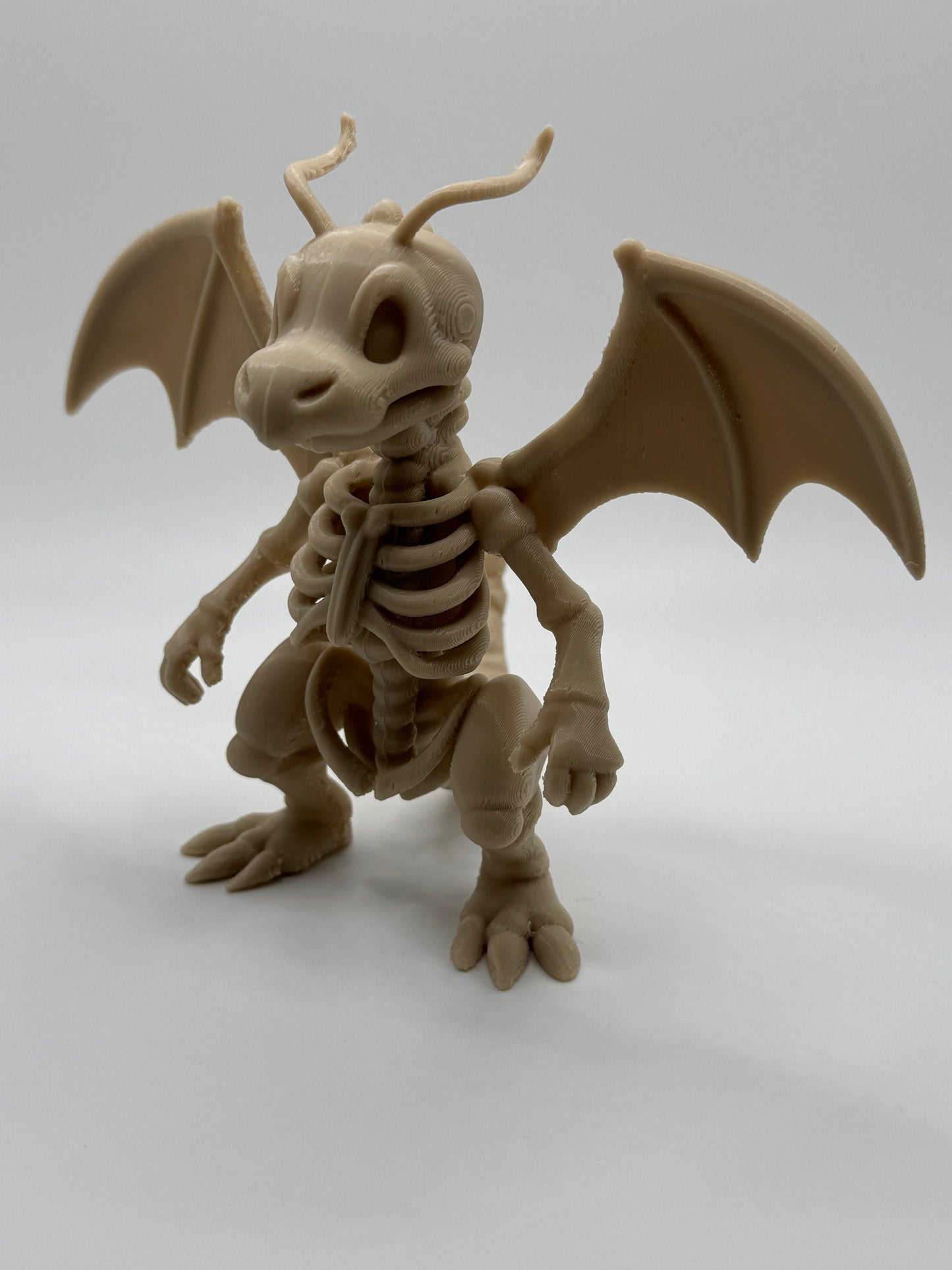 Dragonite Skeleton