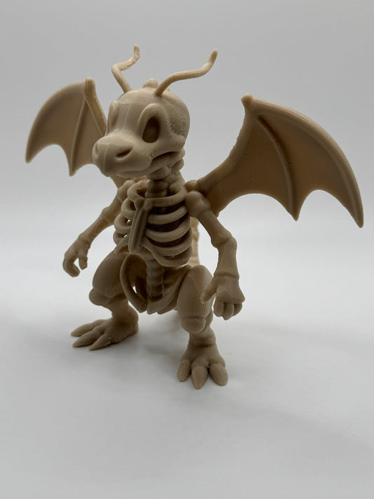 Dragonite Skeleton