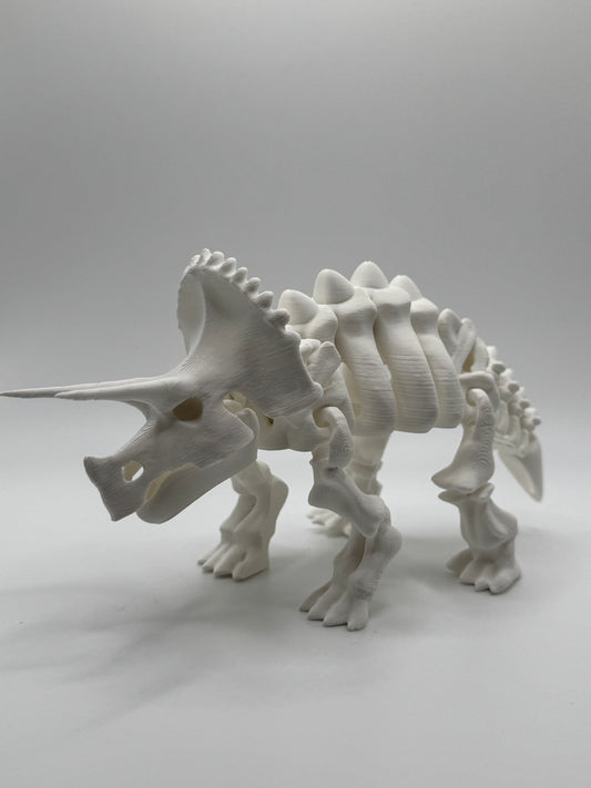 Triceratops Bones