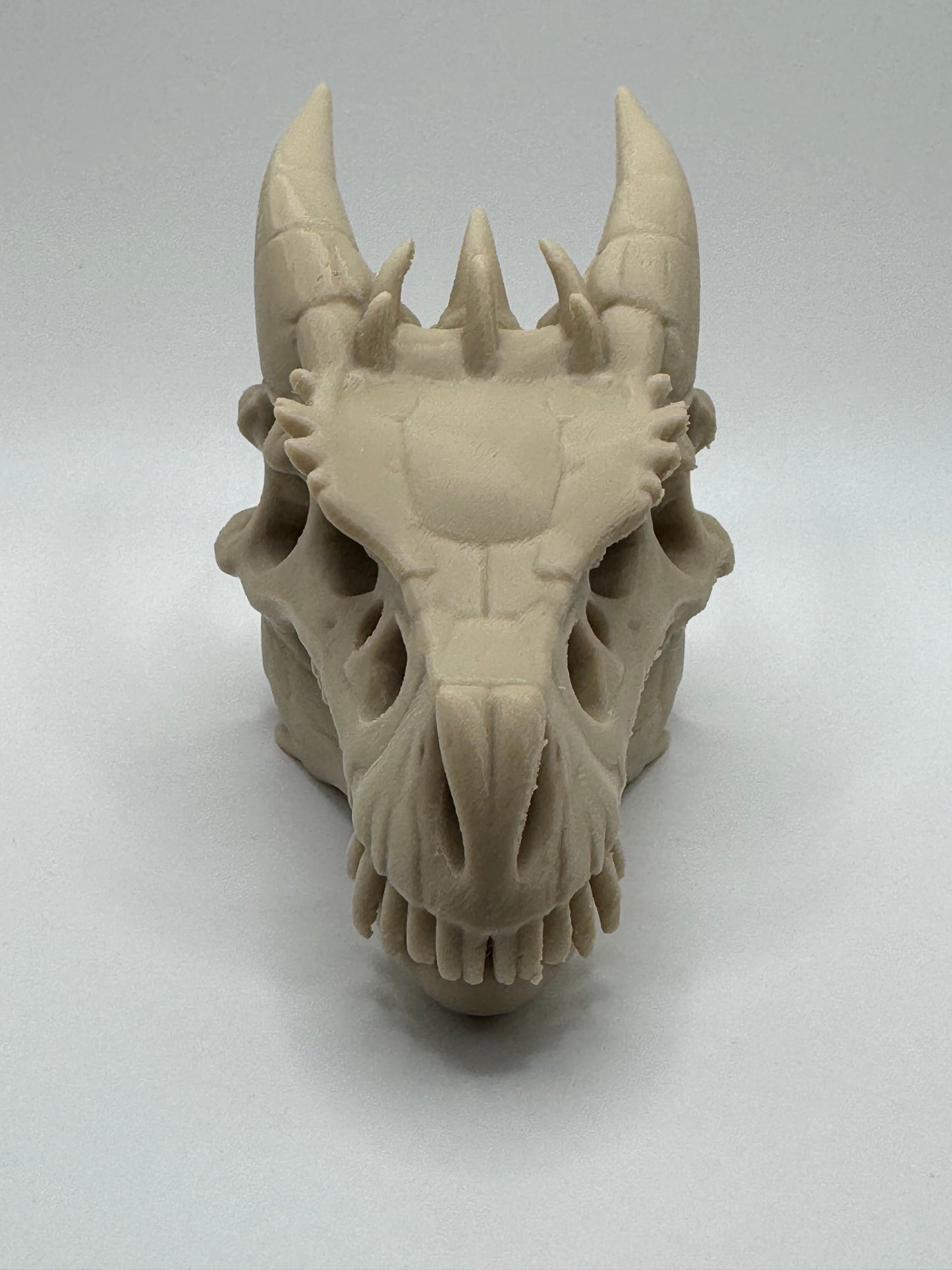 Dragon Skull