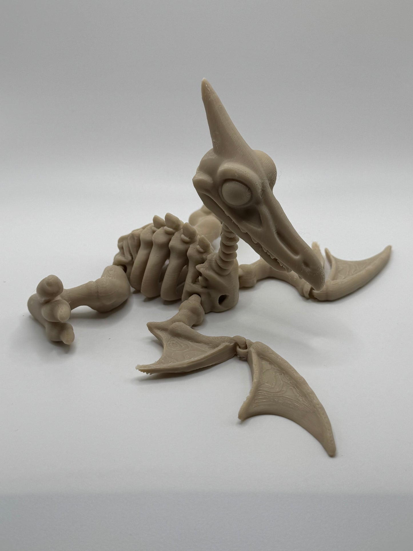 Pterosaur Dinosaur Skeleton