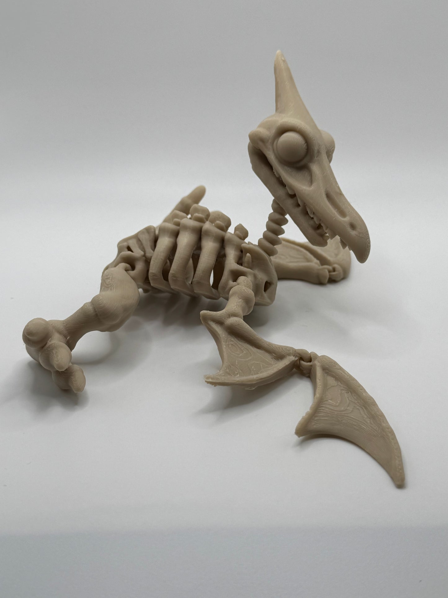Pterosaur Dinosaur Skeleton