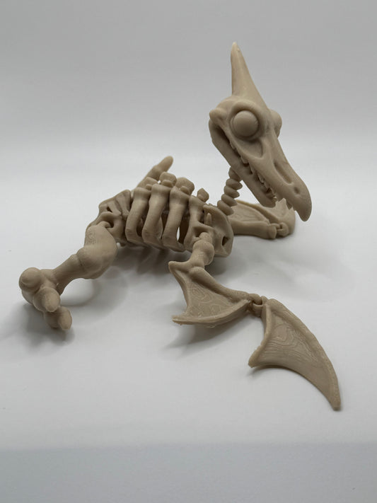 Pterosaur Dinosaur Skeleton