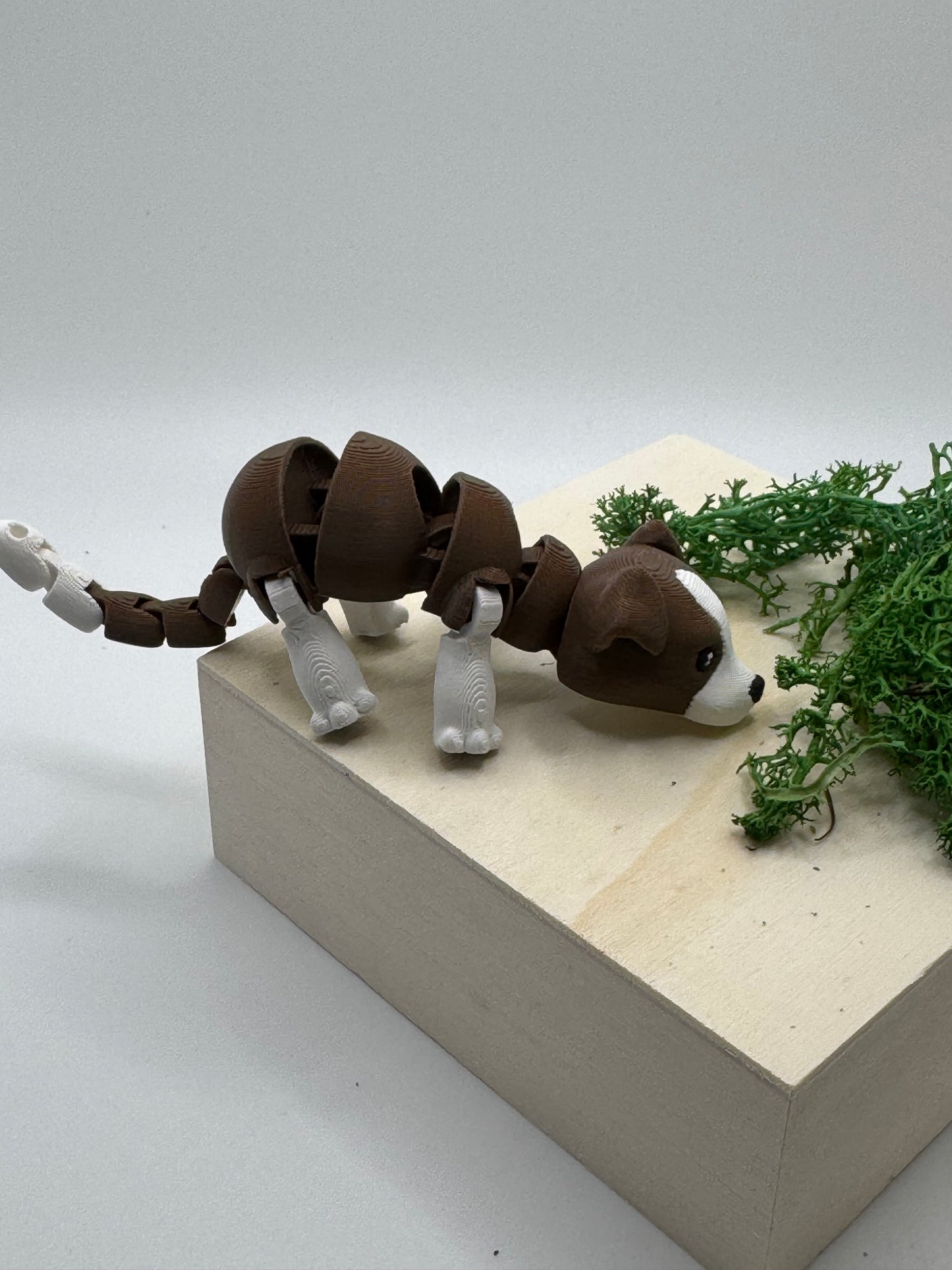 Beagle mini