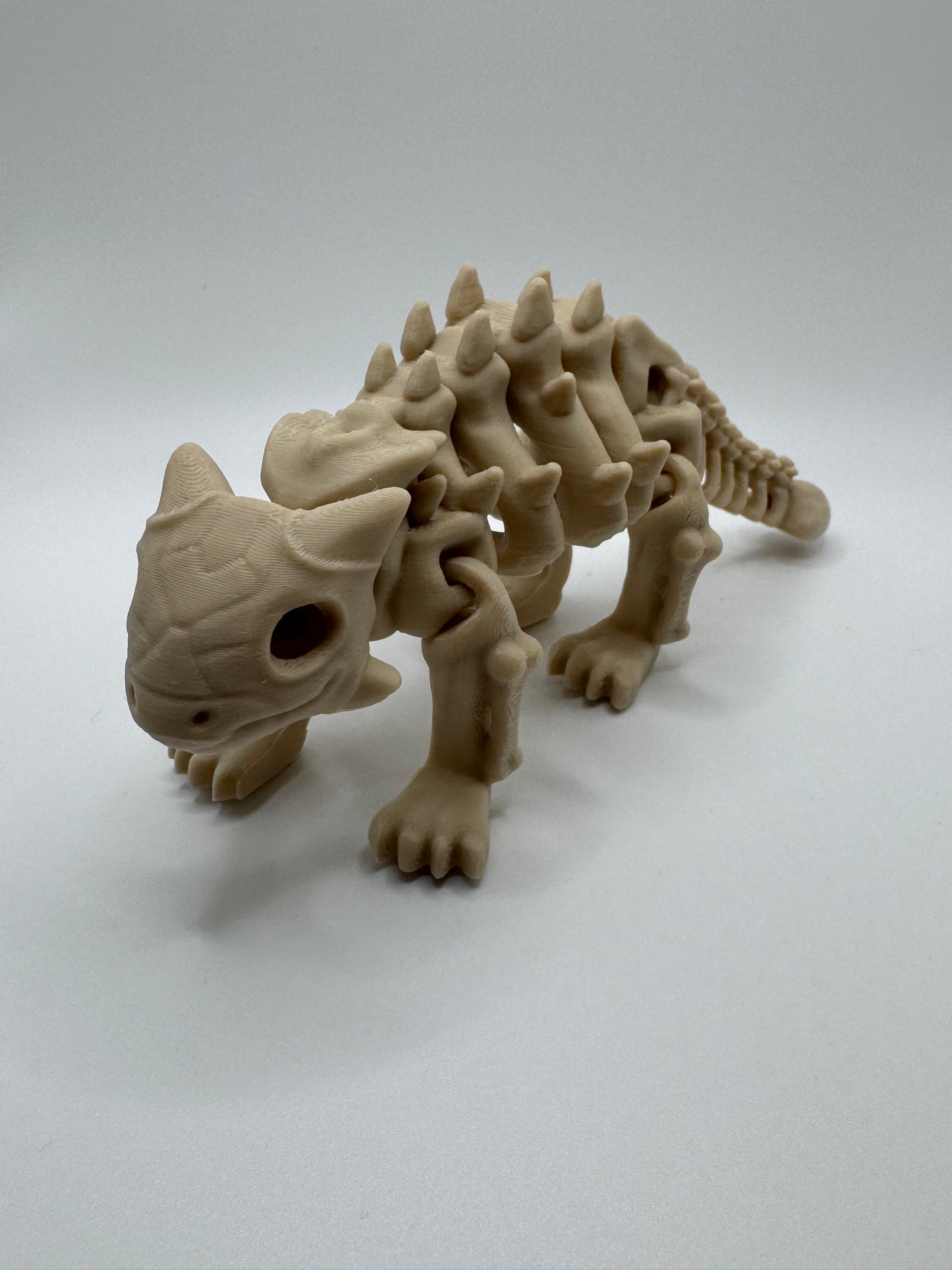 Ankylosaurus Skeleton