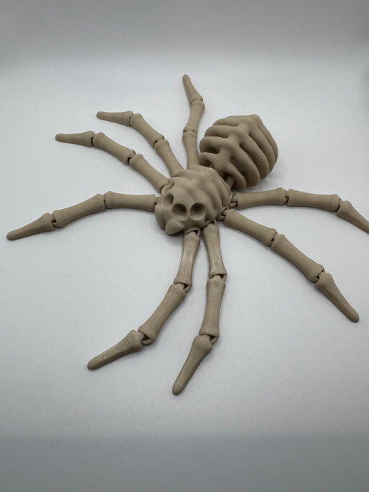 Spider Skeleton