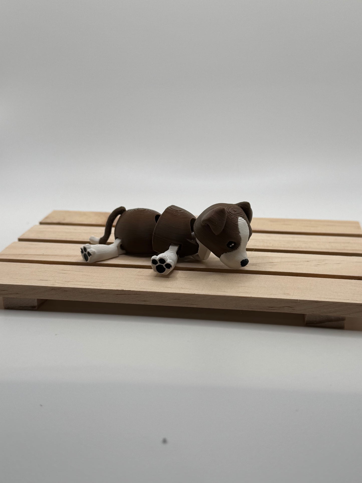 Beagle mini