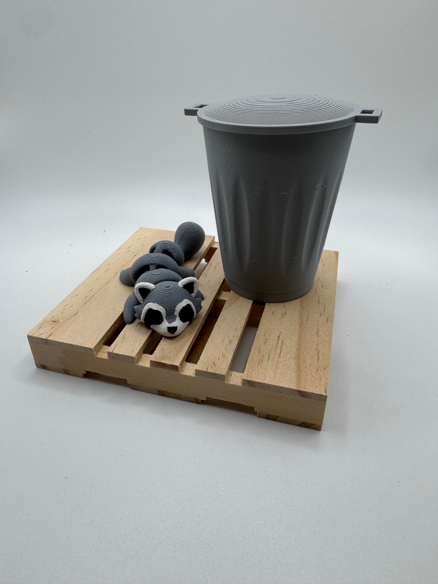 Raccoon mini