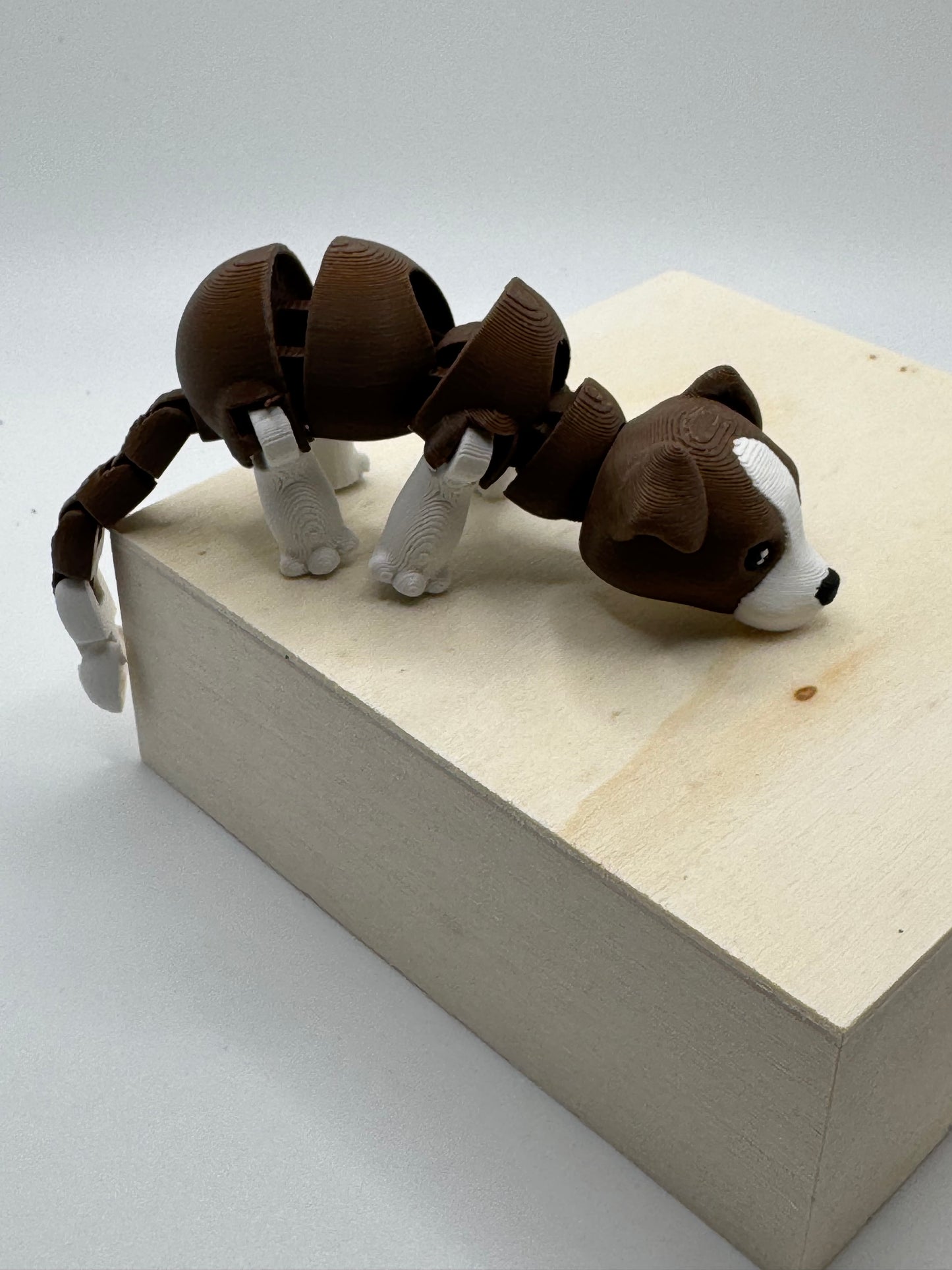 Beagle mini