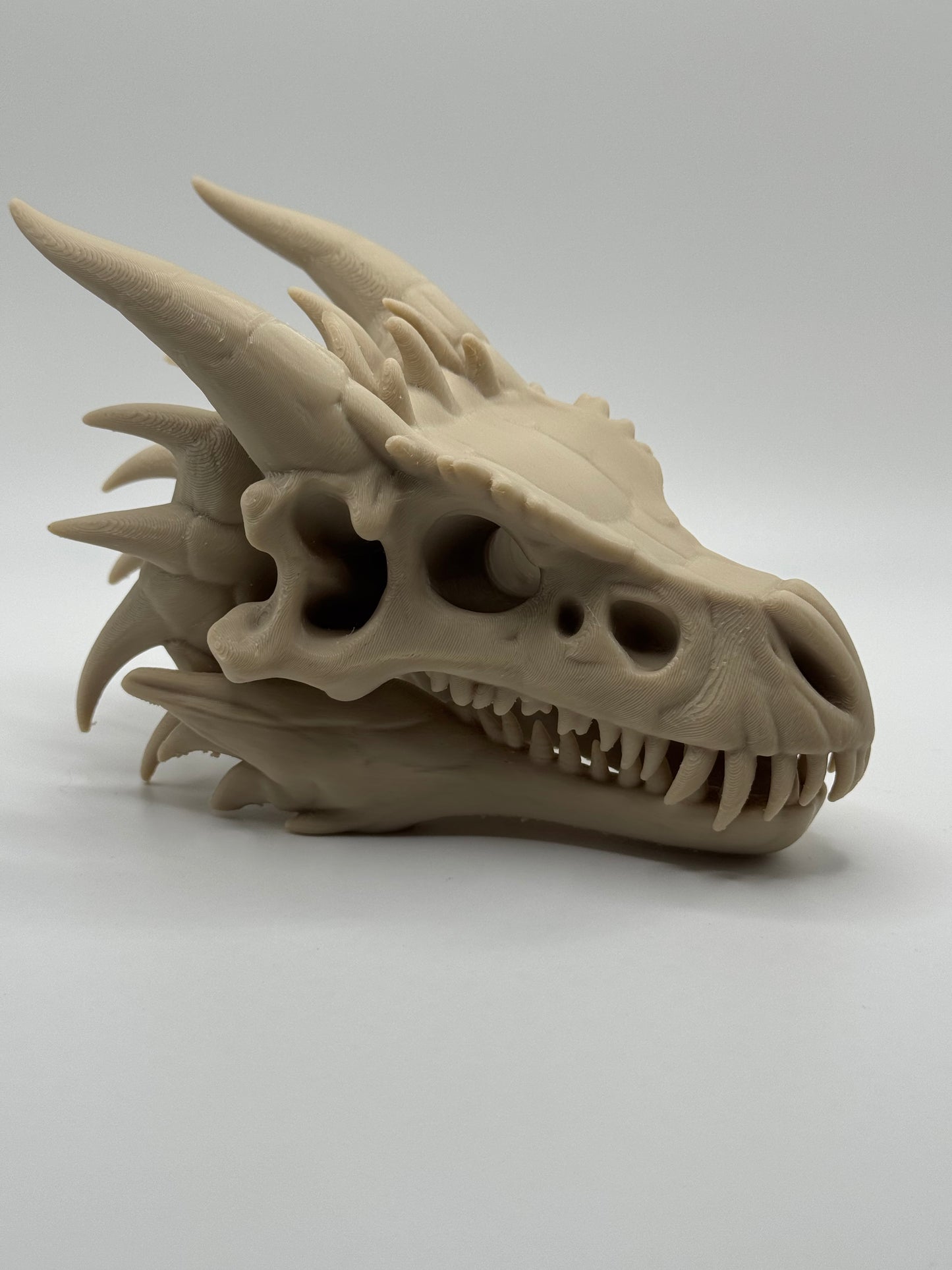 Dragon Skull