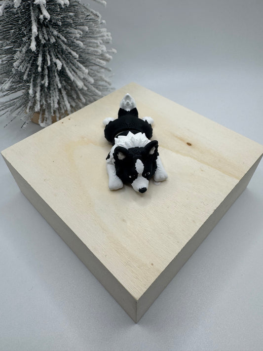 Border Collie mini